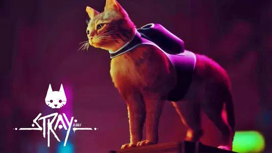 Stray: Pocket Edition
