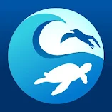 تطبيق-clean-swell-مهكر.webp