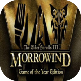The Elder Scrolls 3 Morrowind (1)