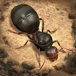 لعبة-the-ants-underground-kingdom-مهكرة.webp