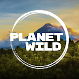 تطبيق-planet-wild-مهكر.webp
